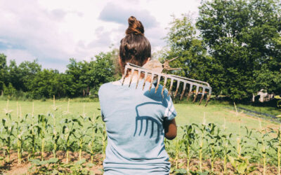 Vivir en el campo: una alternativa cada día más de moda
