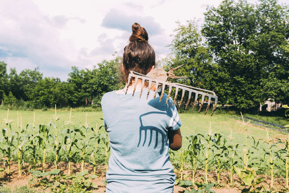 Vivir en el campo: una alternativa cada día más de moda