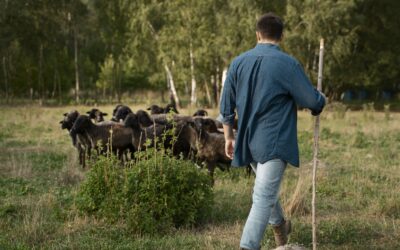 Tipos de propietarios de fincas rústicas ganaderas