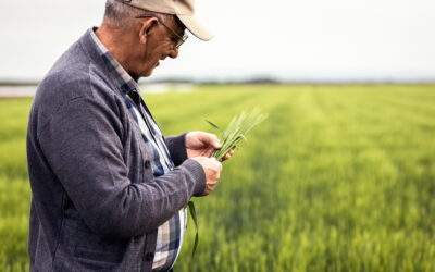 La venta de fincas rústicas en España subió un 30% en 2021