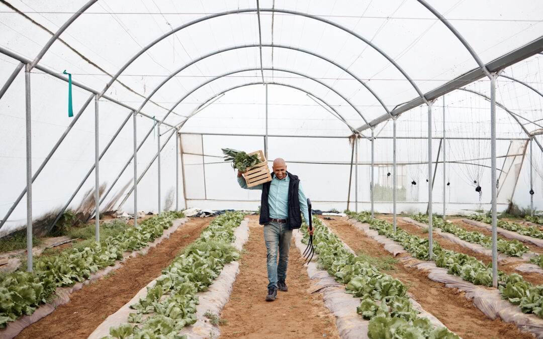 ¿Qué se cultiva en Castilla La Mancha?