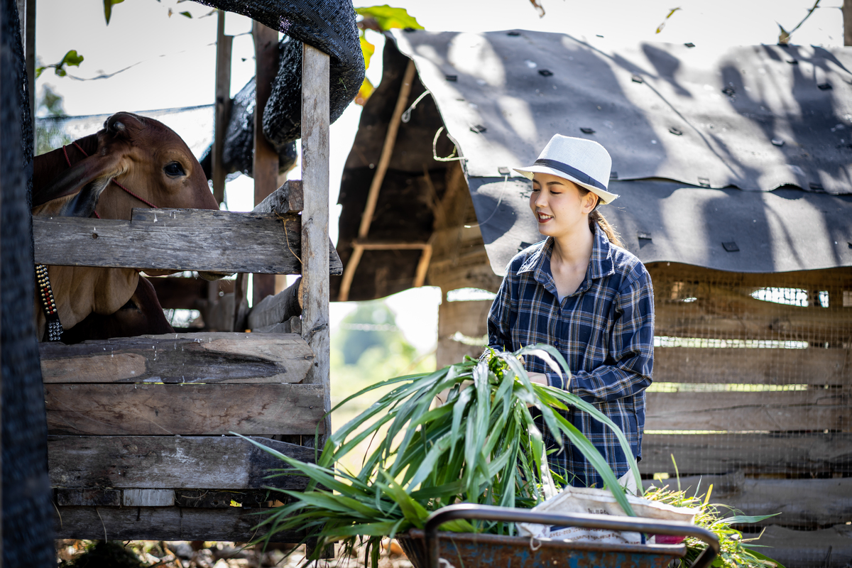 Mujer revisando cultivo en finca para valoración