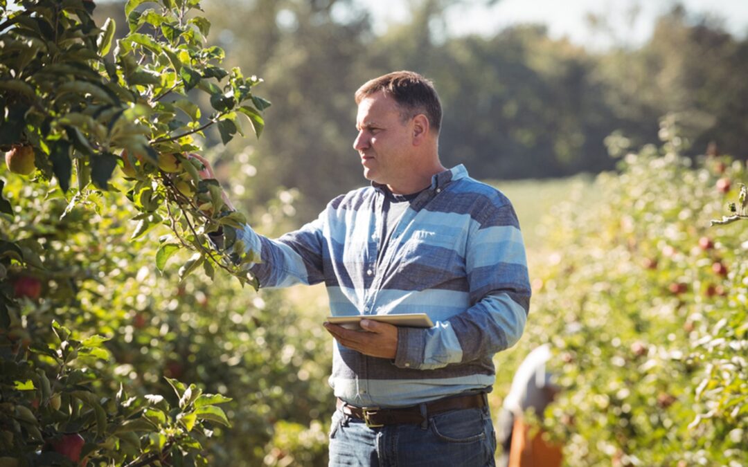 Seguro Agrario España 2026: Guía, Novedades y Coberturas.