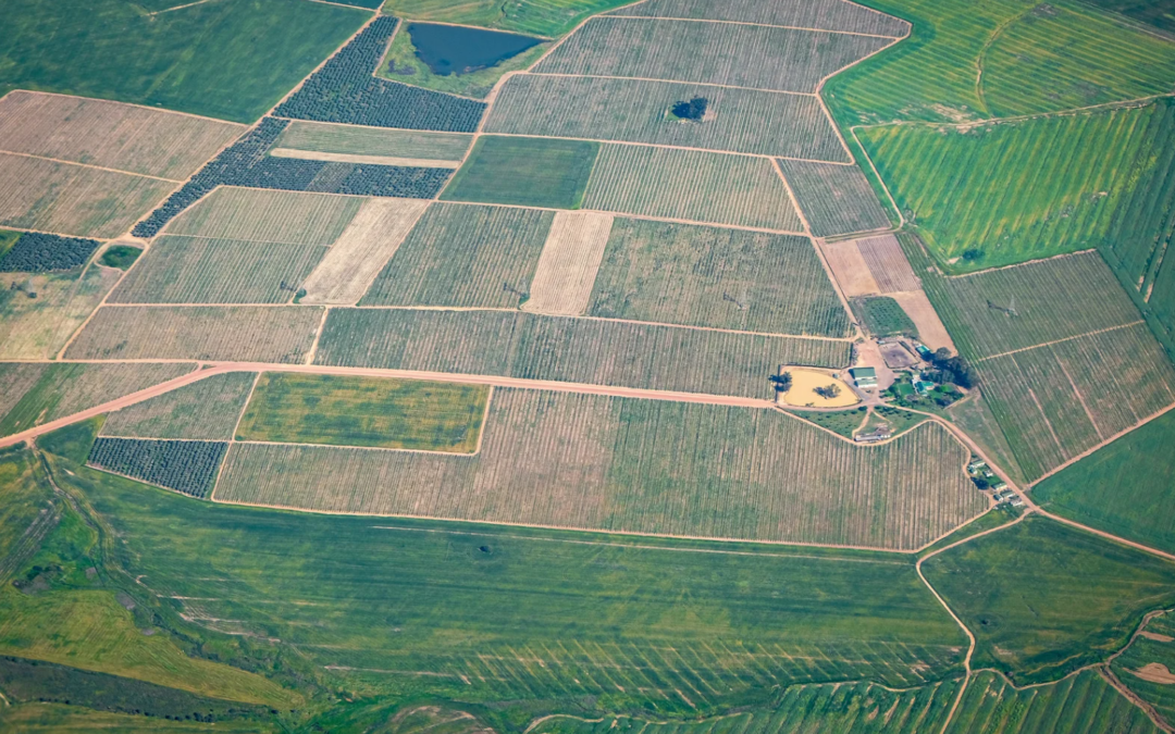 Cómo buscar parcelas en SIGPAC (guía fácil y completa)