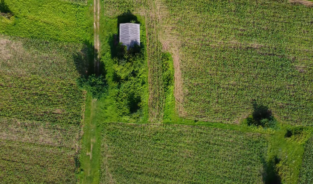Guía completa del IBI en fincas rústicas: cálculo, exenciones y cómo optimizarlo