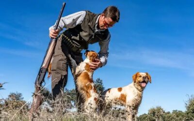 Licencia de caza en España: requisitos, pasos y guía por comunidad autónoma