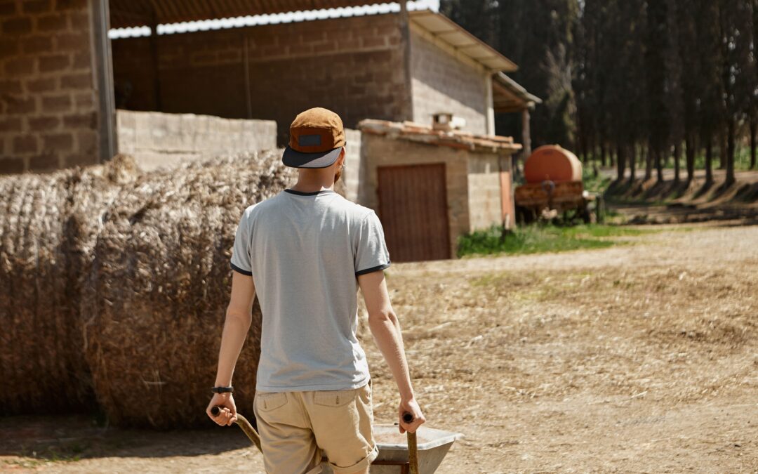 Arrendamiento rústico sin contrato: riesgos legales y cómo regularizarlo