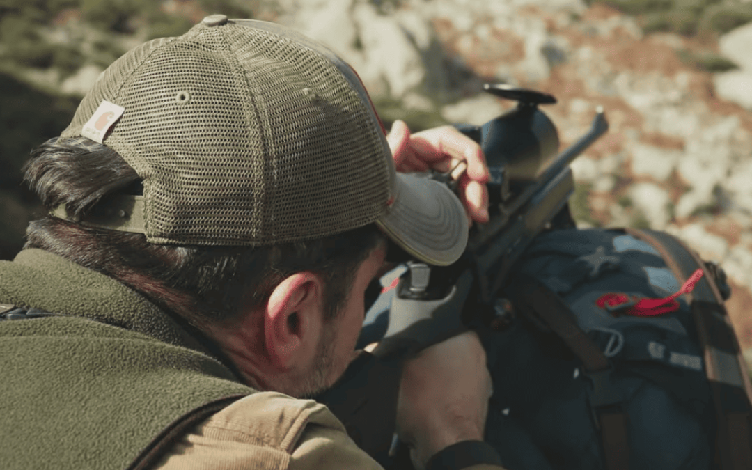 Tipos de cotos de caza en España y su impacto en el valor de una finca